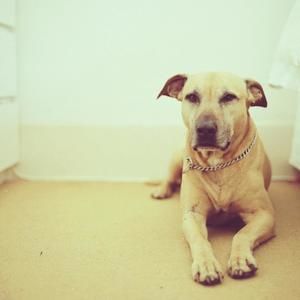 Meet your Posher, Anouska